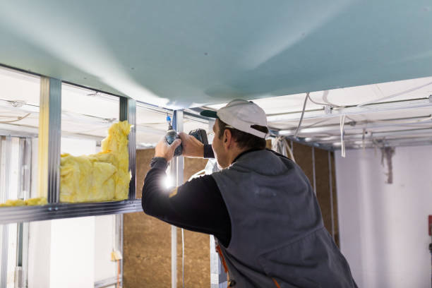 Types of Insulation We Offer in Chualar, CA